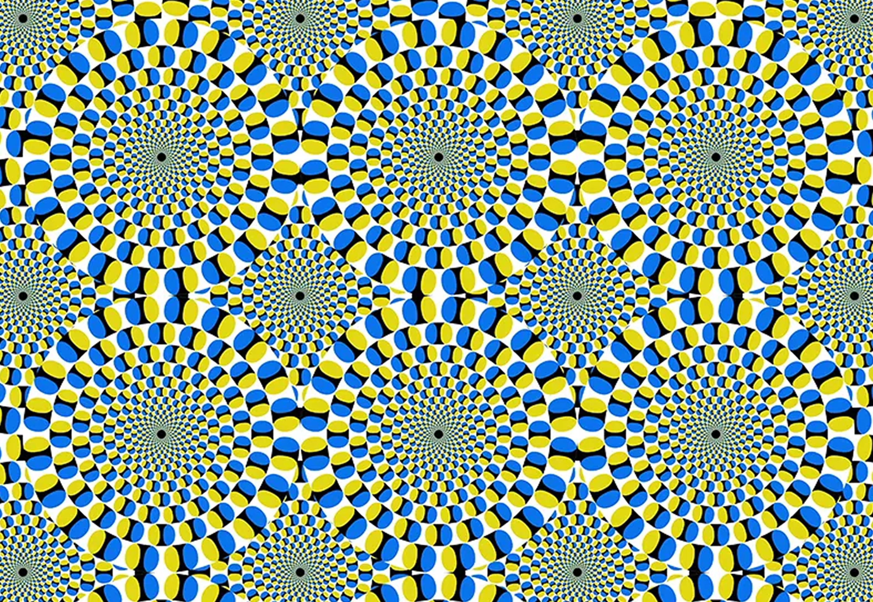 MSc thesis: EEG oscillations and brightness enhancement