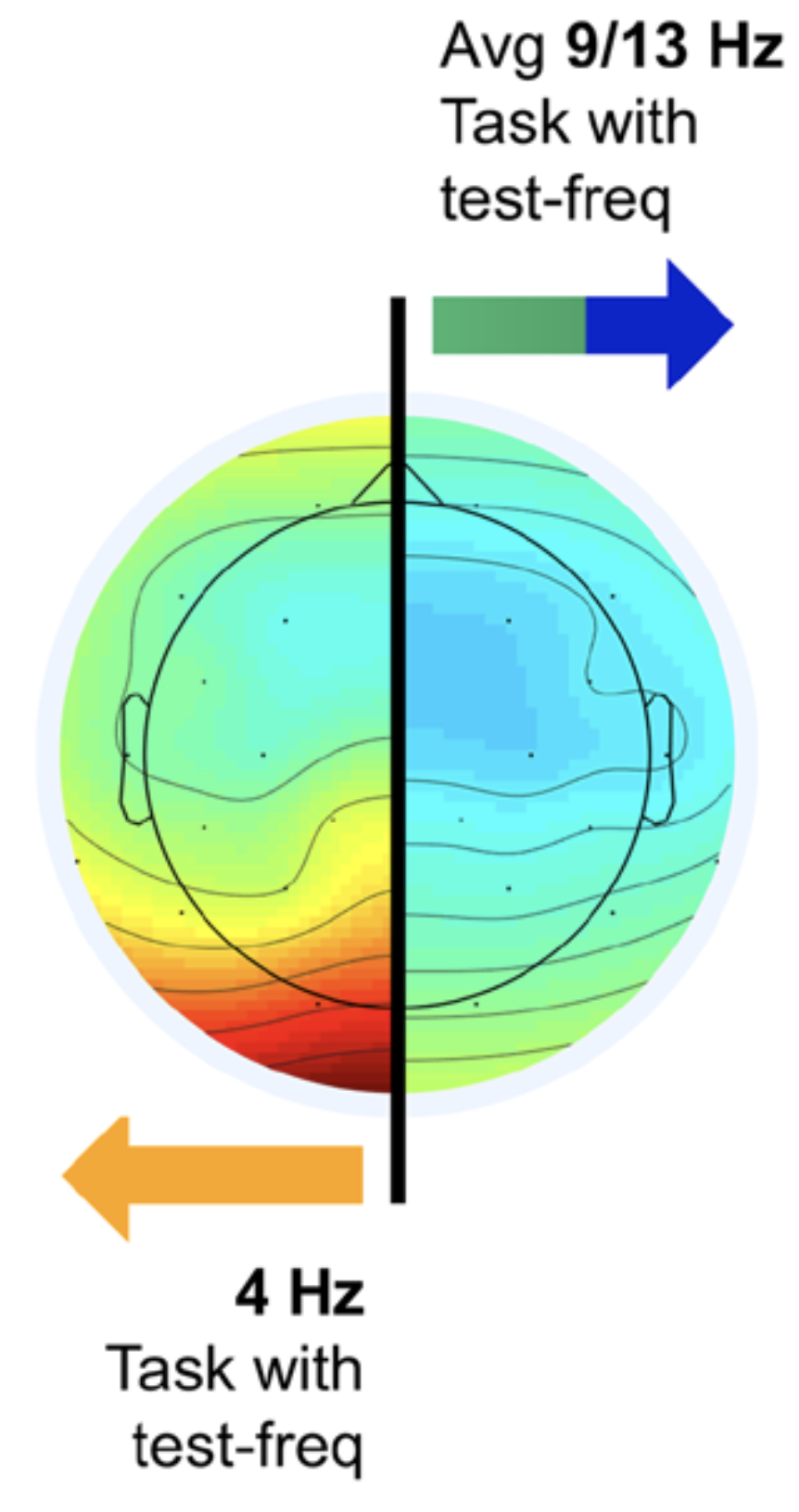 Thumbnail for: Entrainment of theta, not alpha, oscillations